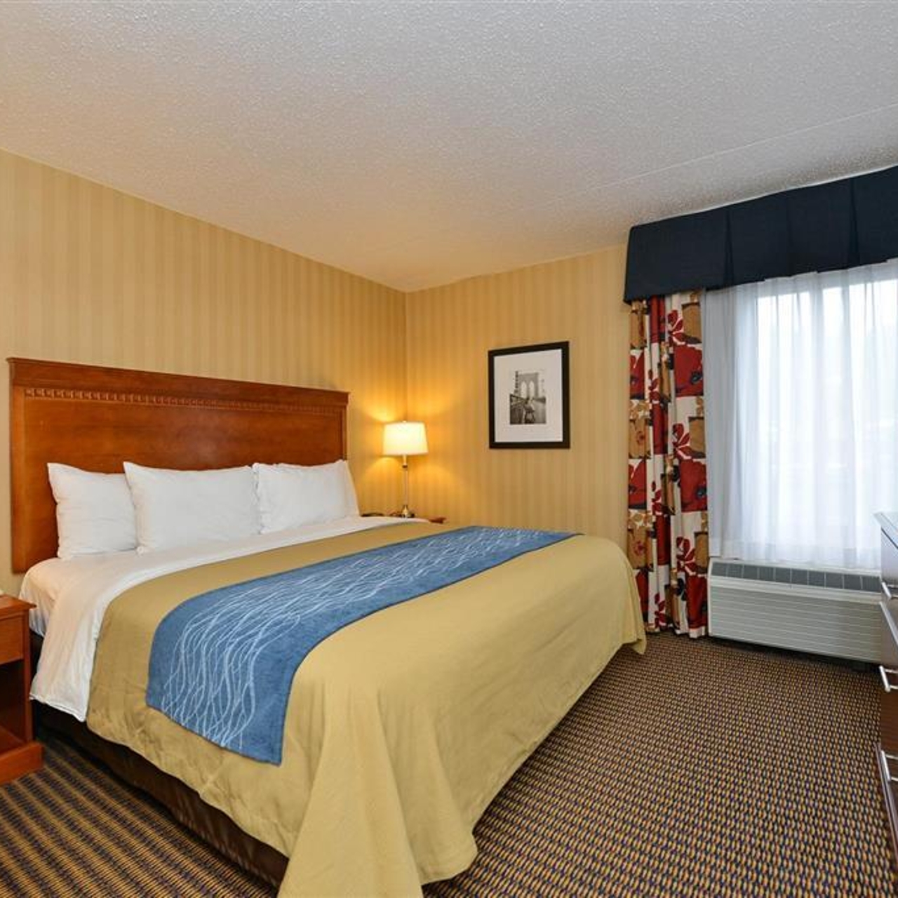 Comfort Inn Suites Alexandria 3 Hrs Star Hotel In Alexandria Virginia