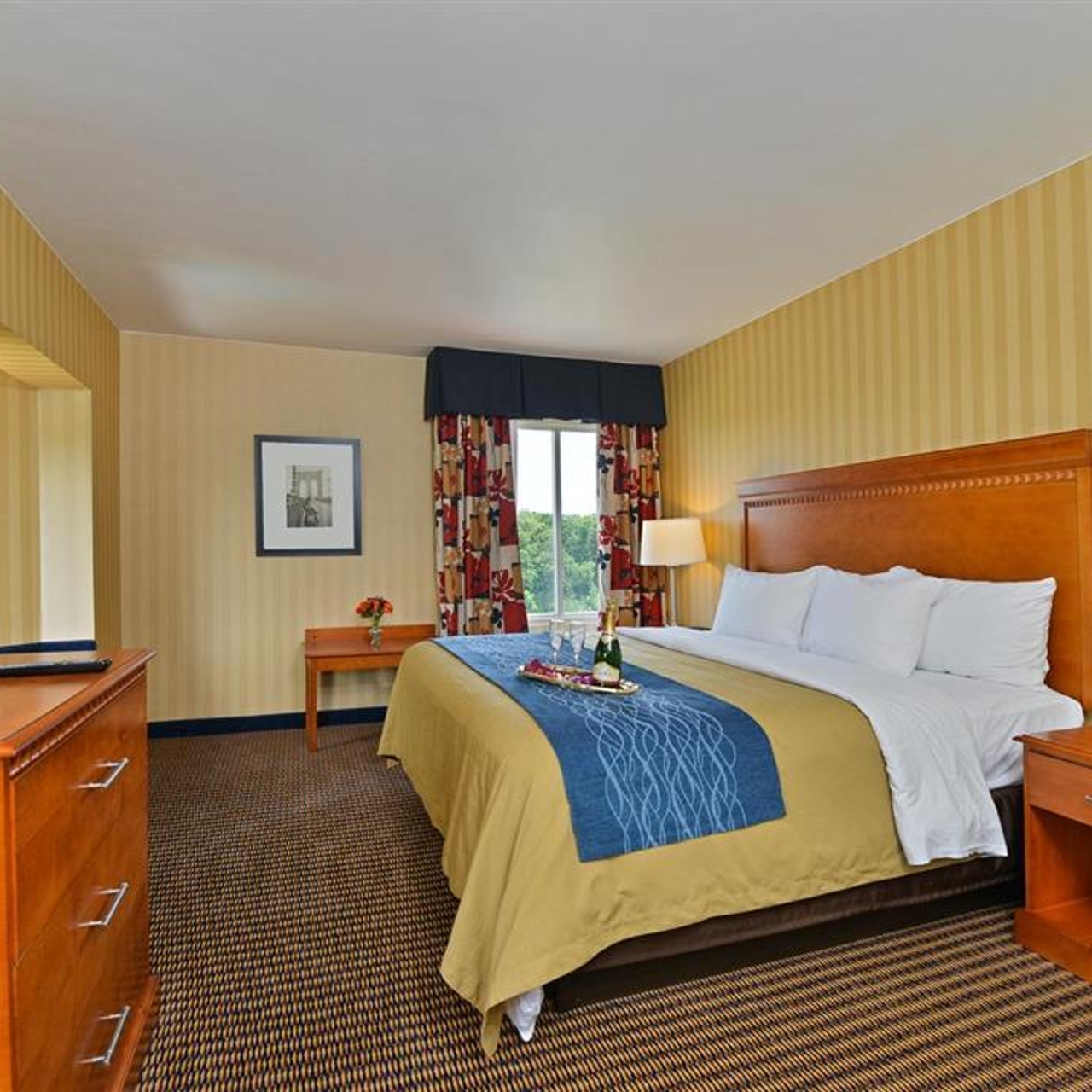 Comfort Inn Suites Alexandria 3 Hrs Star Hotel In Alexandria Virginia