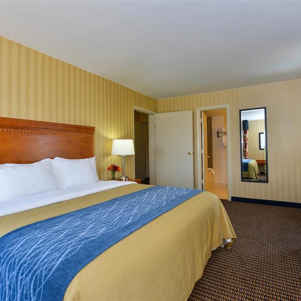 Comfort Inn Suites Alexandria 3 Hrs Star Hotel In Alexandria Virginia