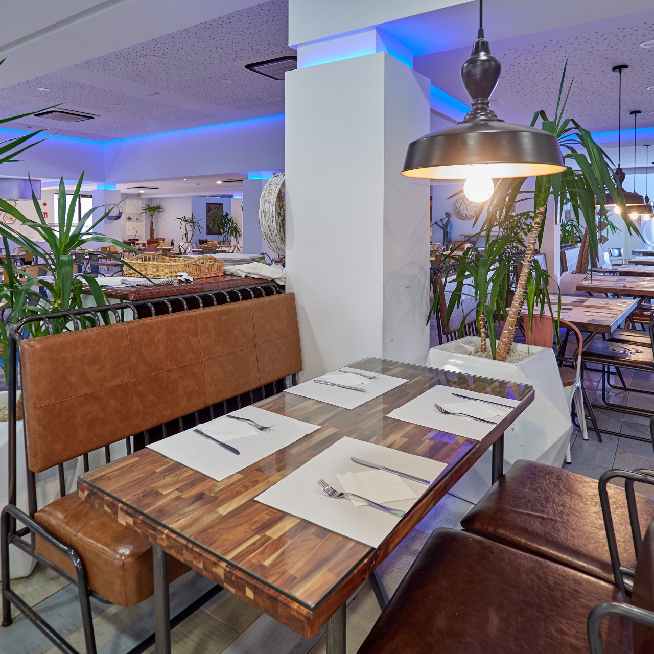 Hotel Bellevue Club 3 Hrs Star Hotel In Alcudia Balearic Islands