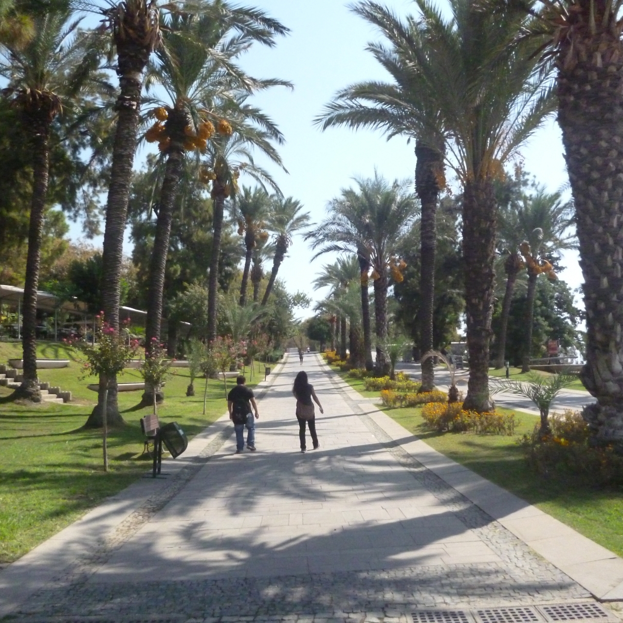 Frankfurt Hotel 3 Hrs Star Hotel In Antalya Antalya