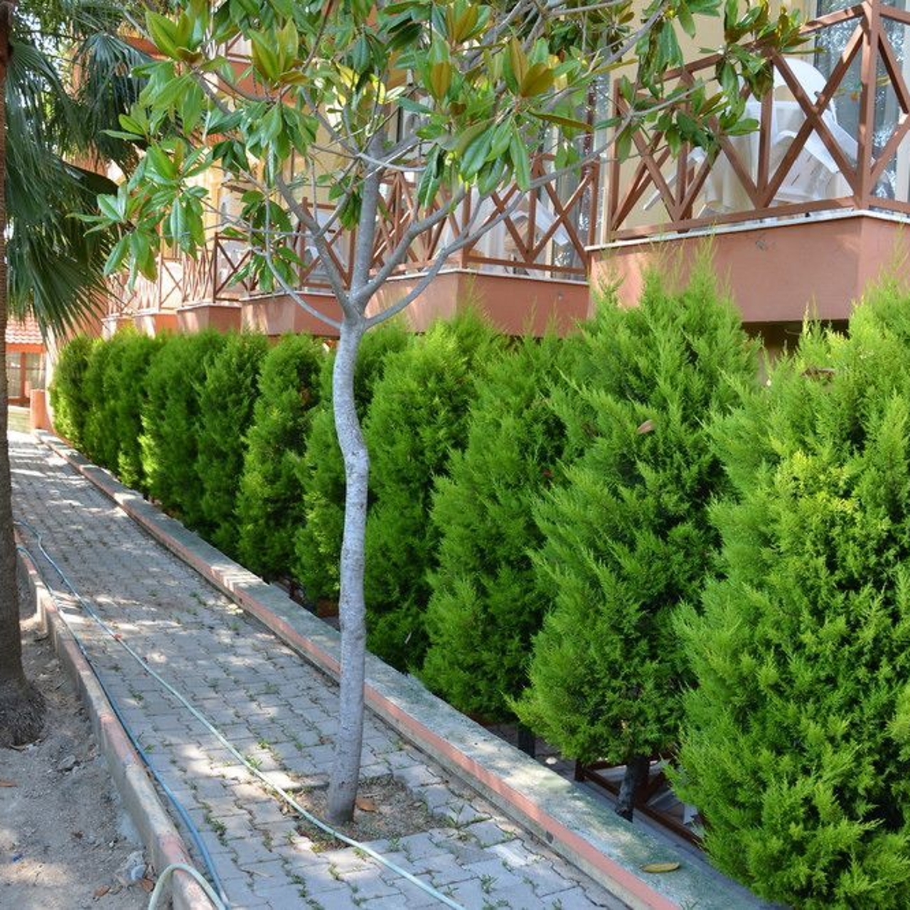 Yavuzhan Hotel In Side Antalya Ili Hrs