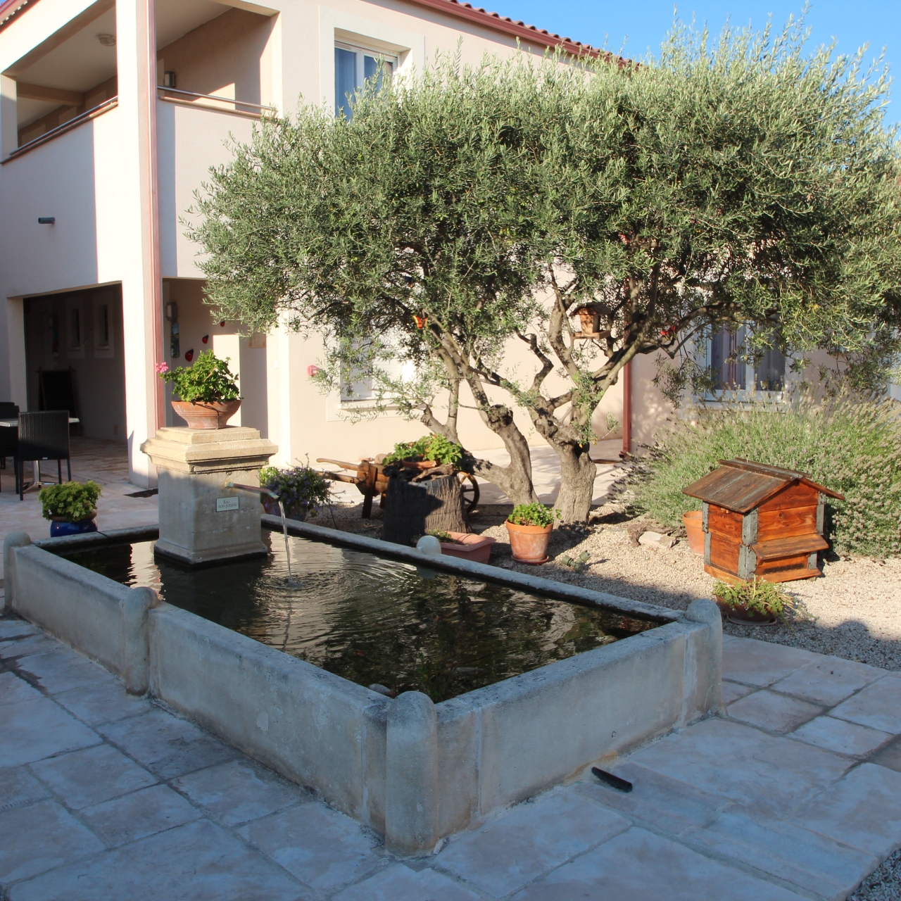 transhumance st martin de crau