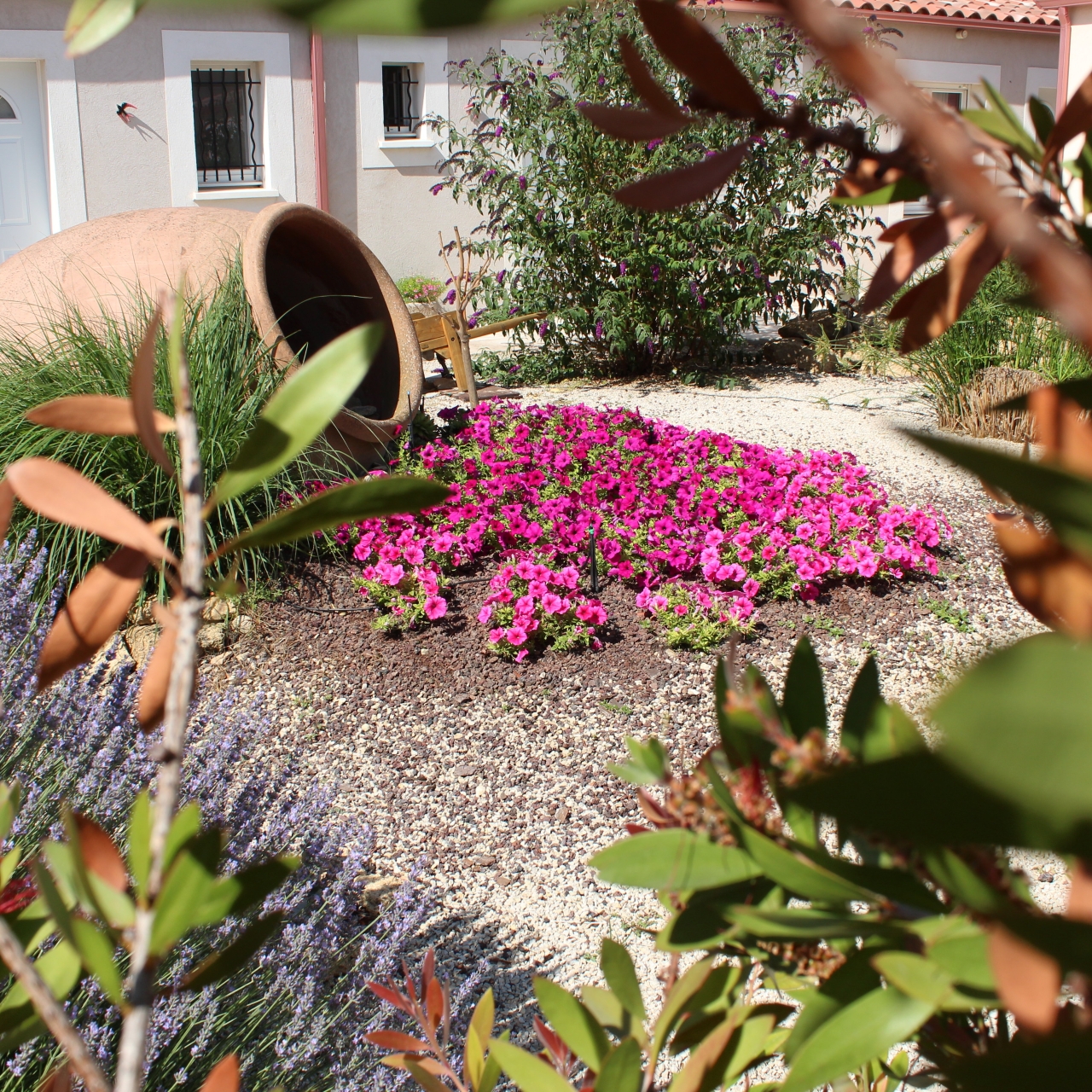 transhumance st martin de crau