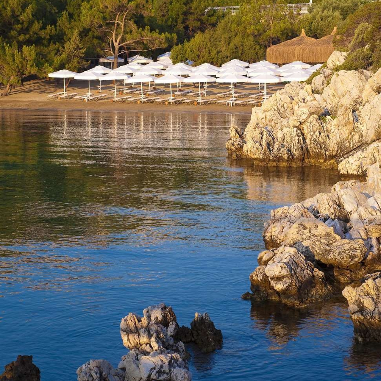 Hotel Hilton Bodrum Turkbuku Resort Spa 4 Hrs Star Hotel In Turkbuku Bodrum
