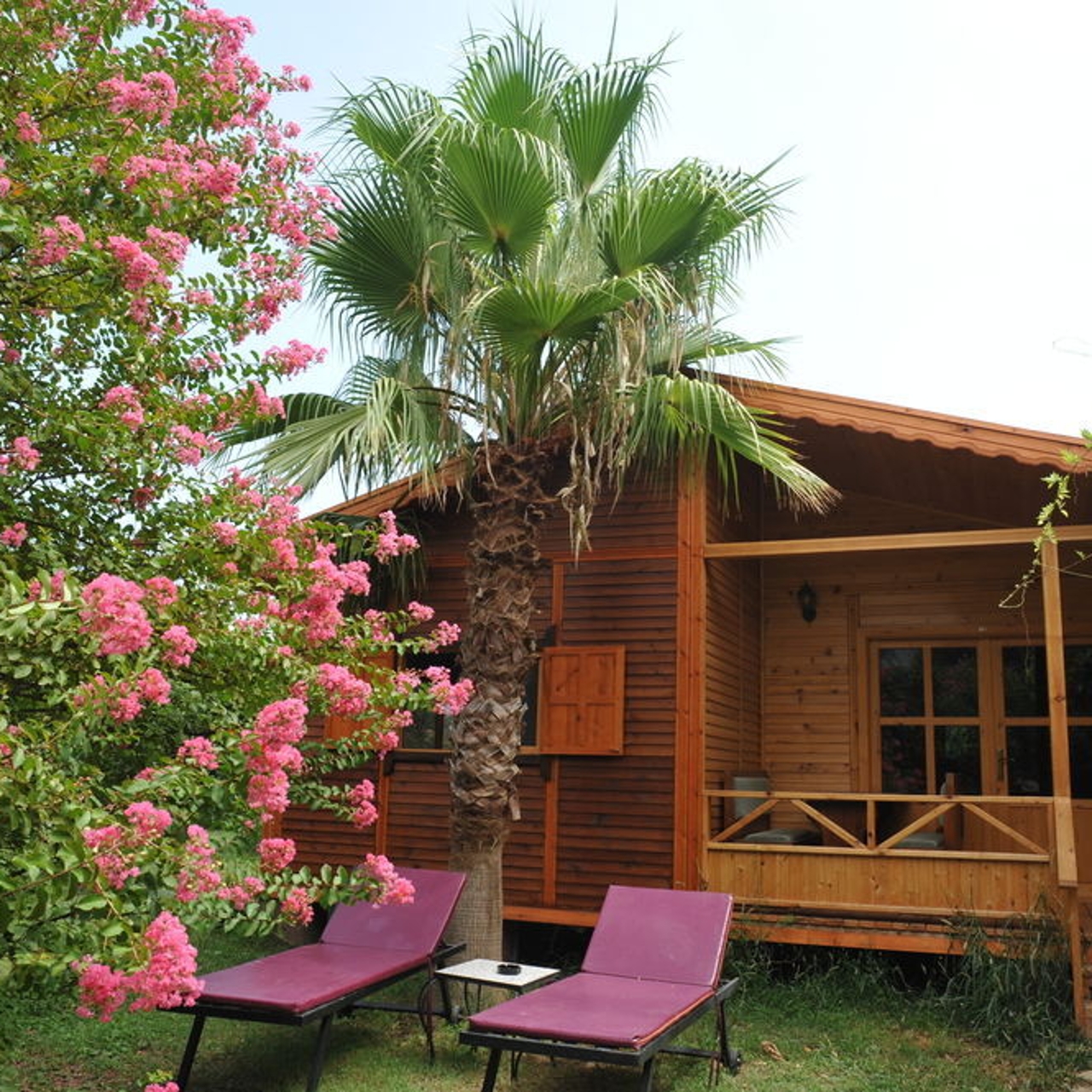 Hotel Anatolia Resort 3 Hrs Star Hotel In Kemer Antalya