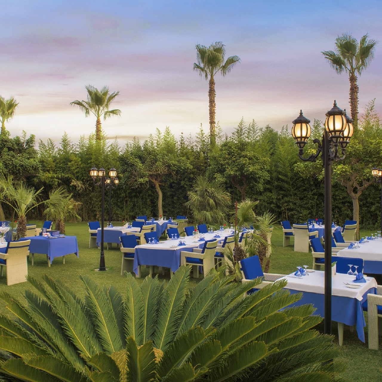 Hotel Calista Luxury Resort Spa 5 Hrs Star Hotel In Belek Antalya Ili