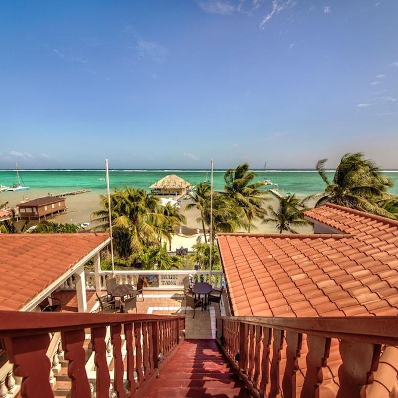 Wallpaper Blue Tang Inn 3 Hrs Star Hotel In San Pedro Belize District For Android Free