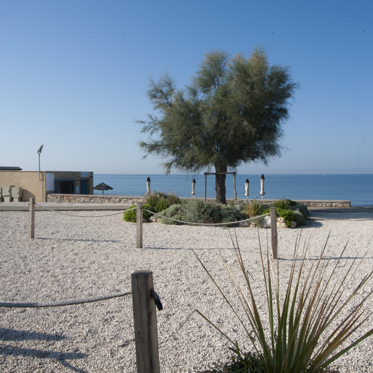 Hotel Alle Tamerici 4 Hrs Star Hotel In Ladispoli Lazio