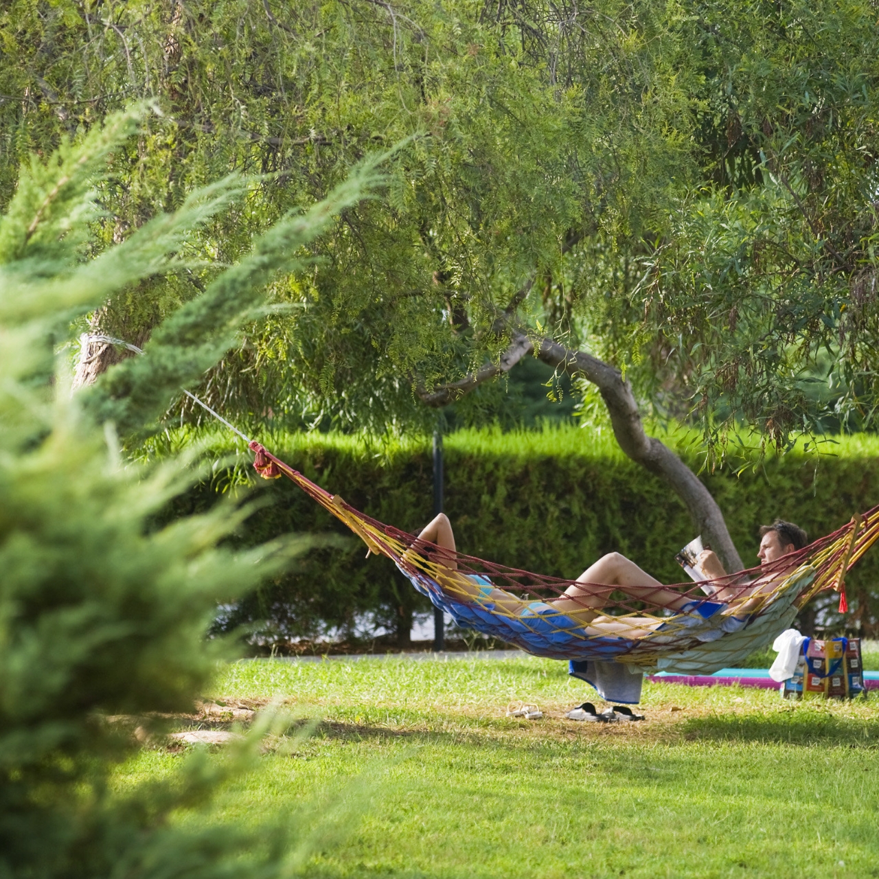 Hotel Euphoria Palm Beach Resort 5 Hrs Star Hotel In Side Antalya Ili