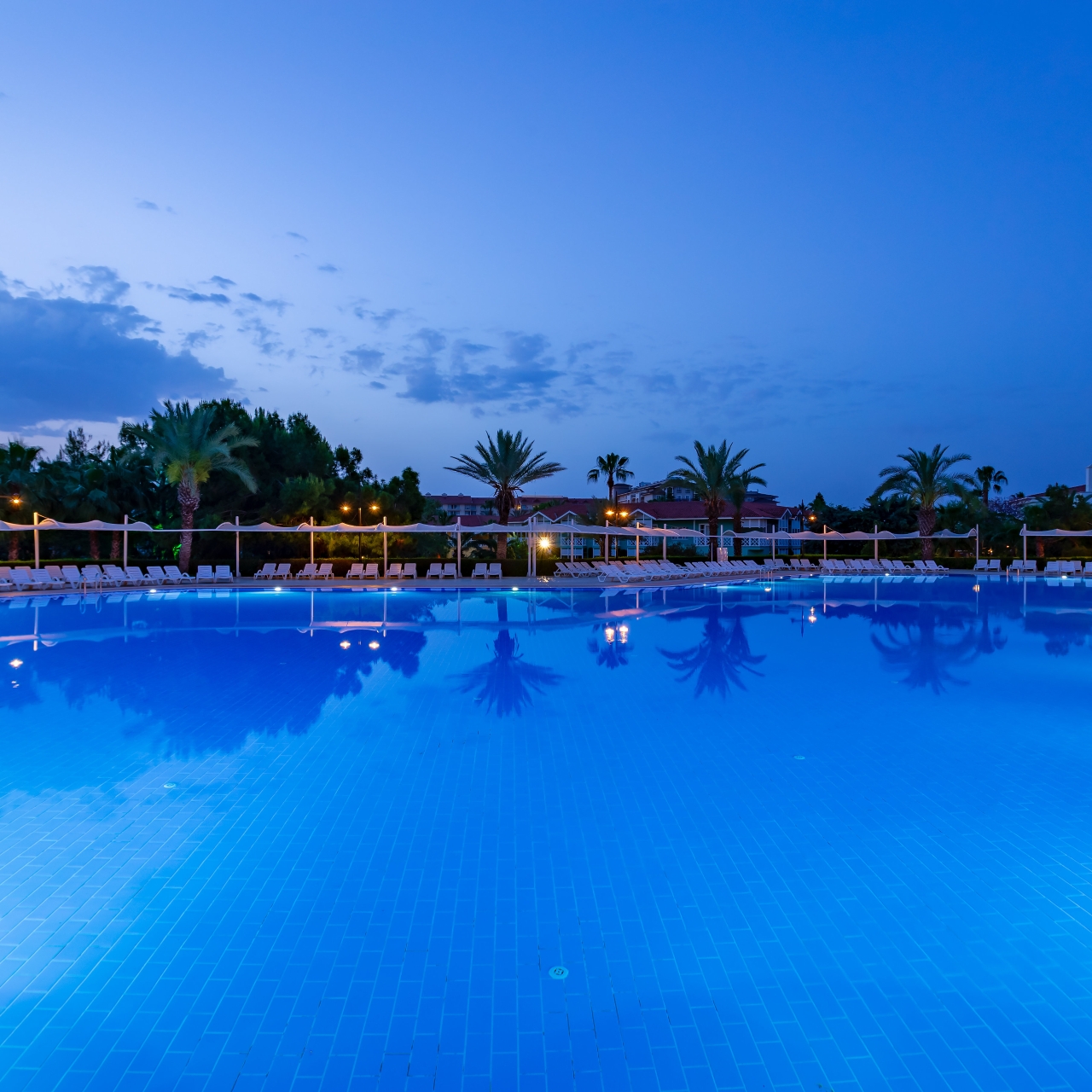 Hotel Euphoria Palm Beach Resort 5 Hrs Star Hotel In Side Antalya Ili