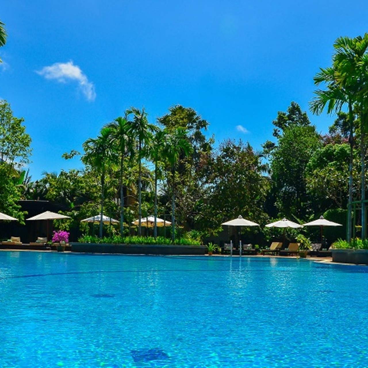 Chào mừng đến với khách sạn 5 sao Siem Reap, nơi bạn được tận hưởng những dịch vụ tuyệt vời nhất trong môi trường đẳng cấp và sang trọng. Hình ảnh này cho thấy không gian sang trọng và đẳng cấp của khách sạn, hứa hẹn sẽ mang đến cho bạn một trải nghiệm nghỉ dưỡng tuyệt vời. 