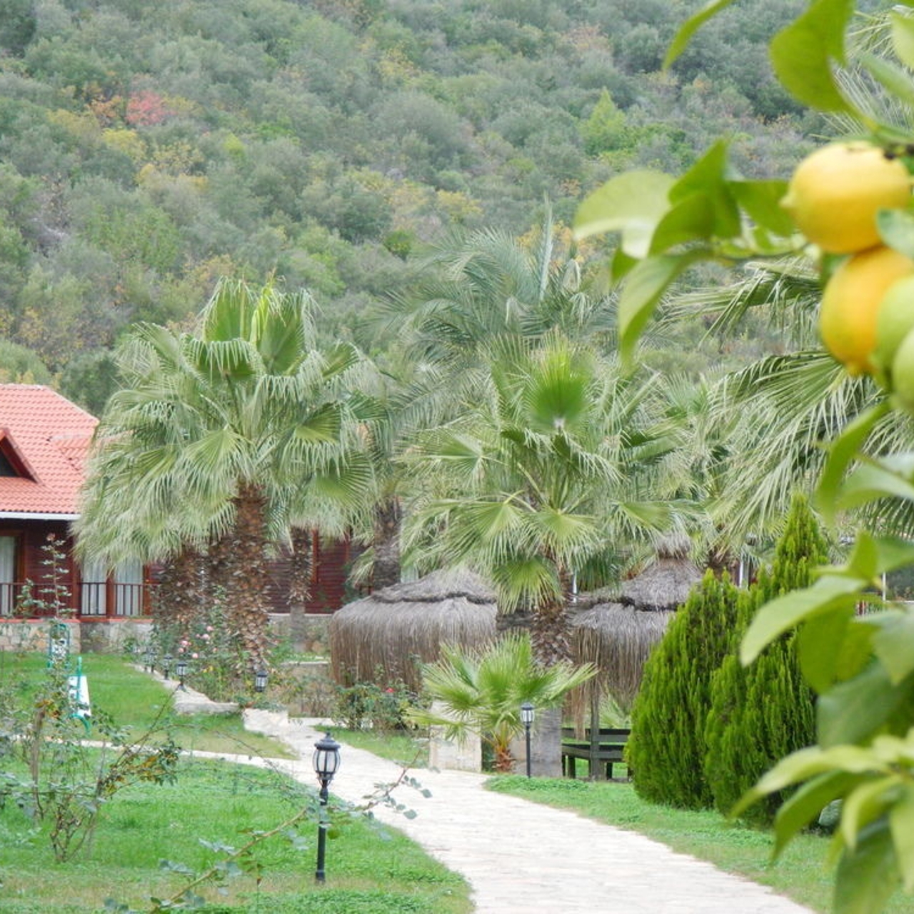 Hotel Club Sun Village In Kumluca Antalya Ili Hrs