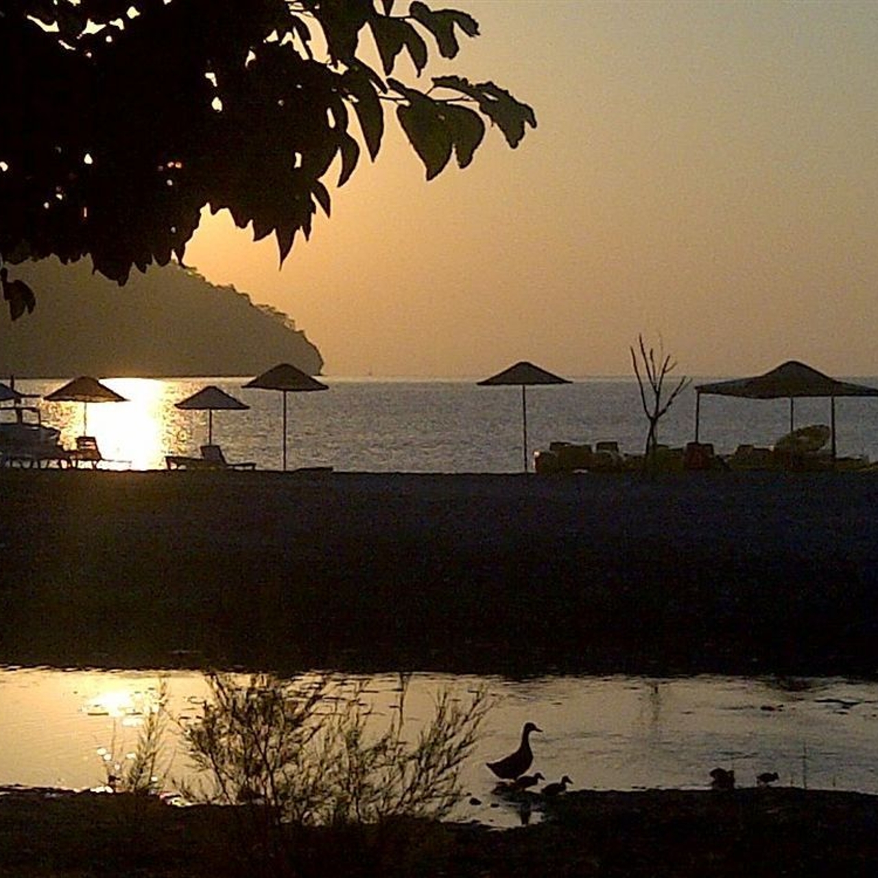 Hotel Club Sun Village In Kumluca Antalya Ili Hrs