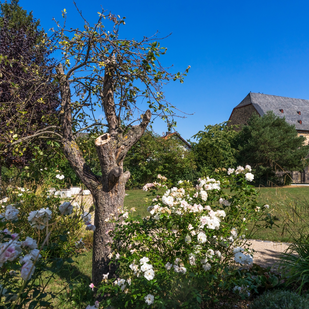 johanniter hotel hesse at hrs with free services