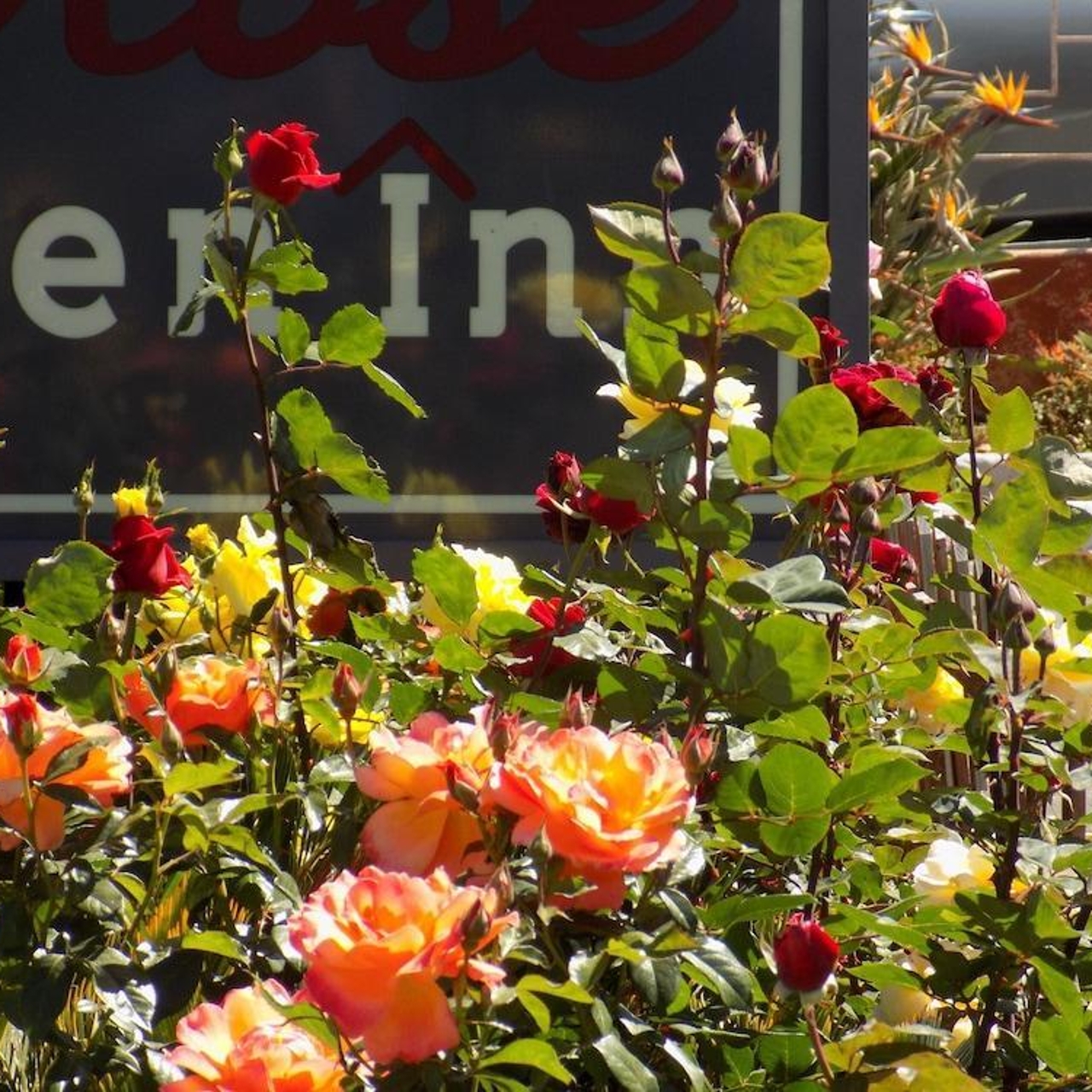 Rose Garden Inn In Santa Barbara California Hrs