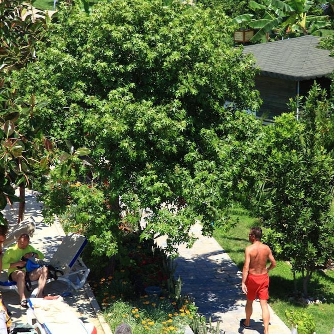 Hotel Parkim Ayaz All Inclusive 4 Hrs Star Hotel In Bodrum Mugla