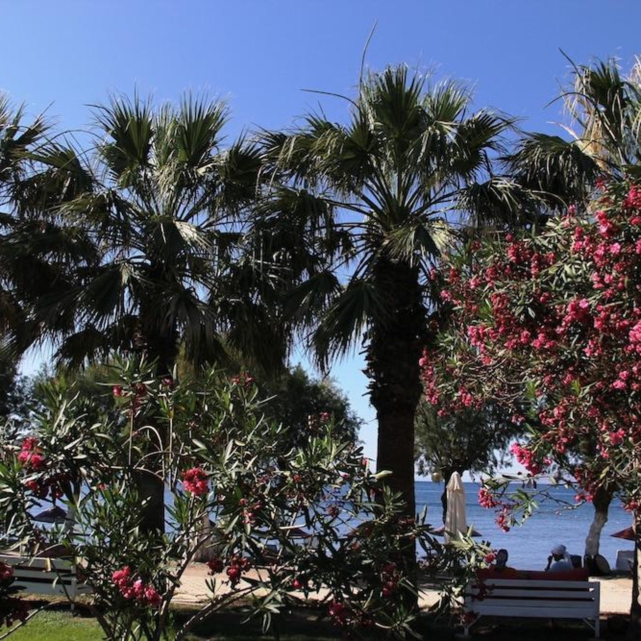 Hotel Yilmaz In Bodrum Mugla Hrs