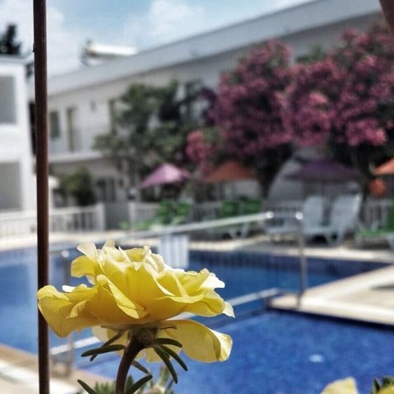 Hotel Yilmaz In Bodrum Mugla Hrs