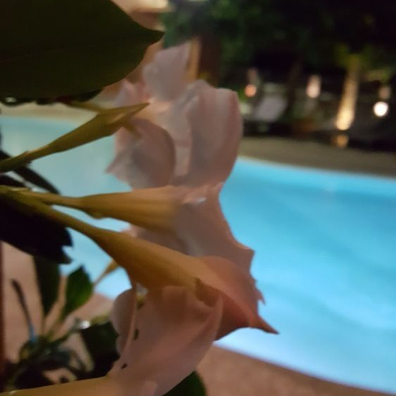 Corte Corse France L Europe Hrs