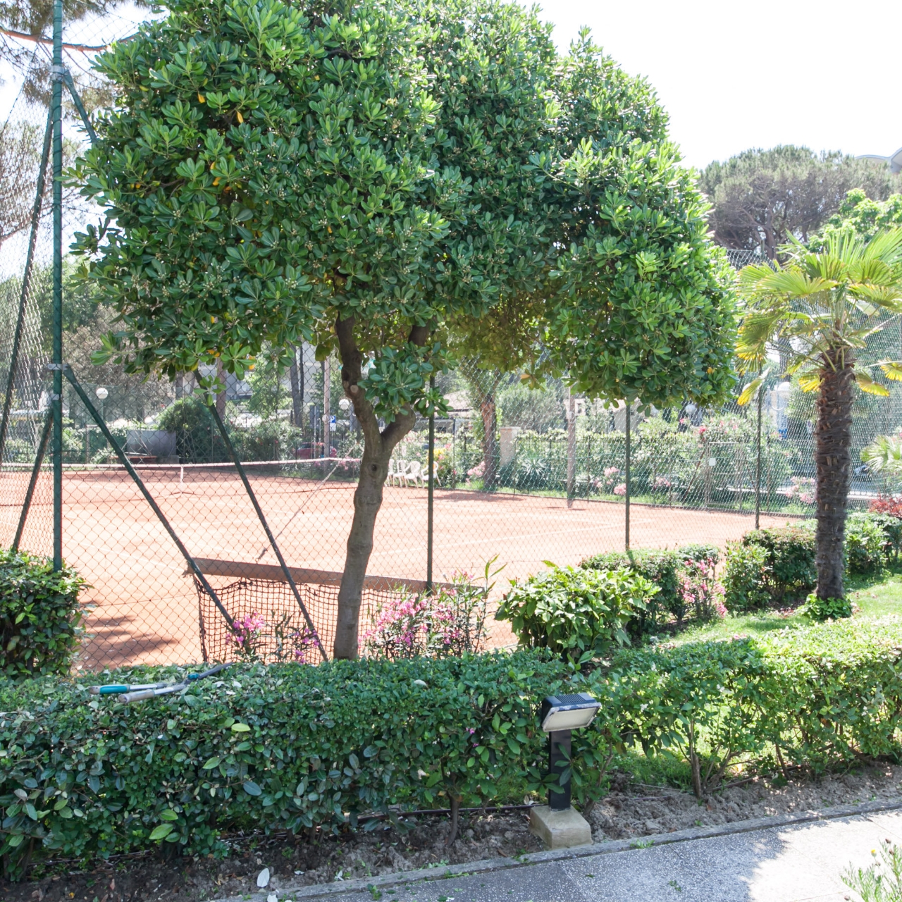 Grand Hotel Gallia 4 Hrs Star Hotel In Milano Marittima Cervia Emilia Romagna