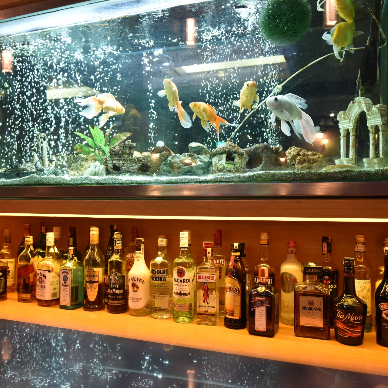 Istankoy Hotel Bodrum 3 Hrs Star Hotel In Bodrum Mugla