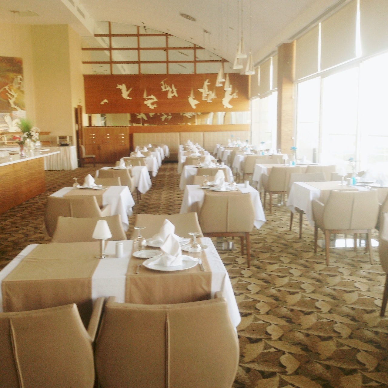 Baia Bursa Hotel 5 Hrs Star Hotel In Bursa Bursa