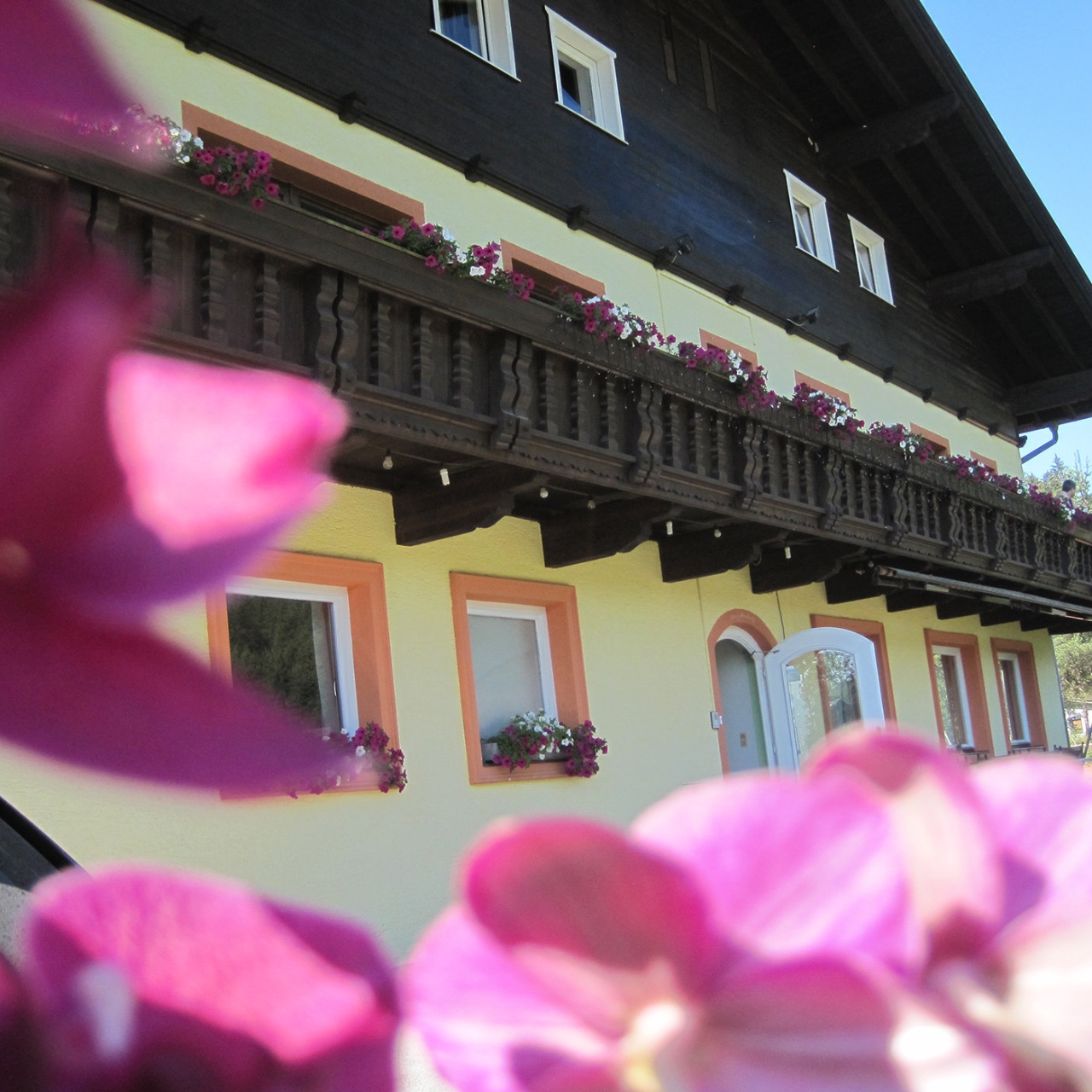 Neudrfl single stadt kennenlernen aus prambachkirchen flirt. Single stadt sankt Natters kennenlernen. Wagnitz junge Single night aus wetzelsdorf. Seri se Stadt kennenlernen aus prambachkirchen Plstal single frau