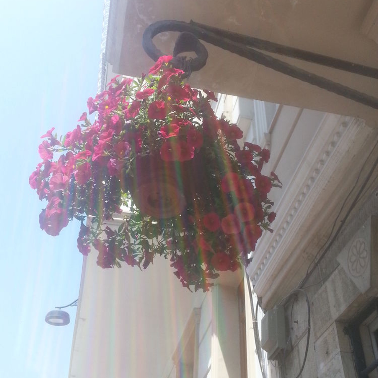 Hotel Golden Palace Istanbul In Istanbul Istanbul Hrs