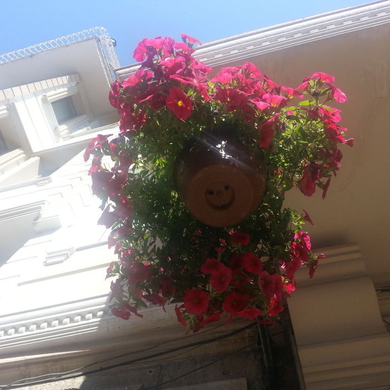Hotel Golden Palace Istanbul In Istanbul Istanbul Hrs