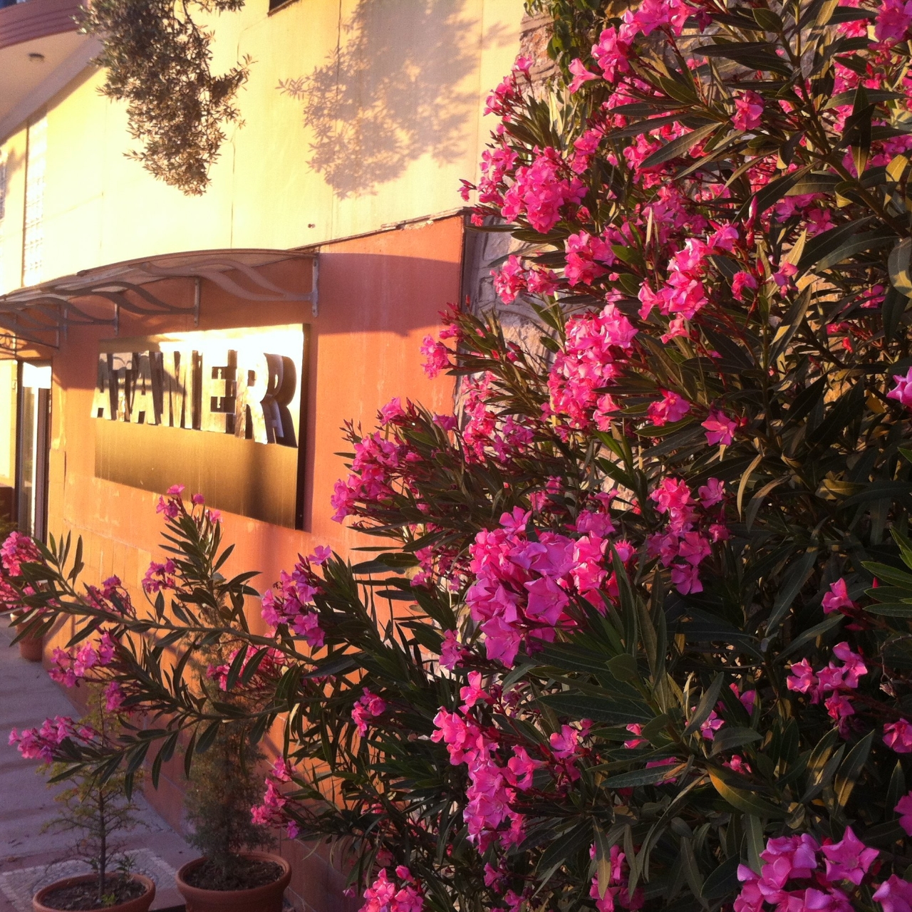 Hotel Atamer Doga Resort In Gemlik Bursa Ili Hrs