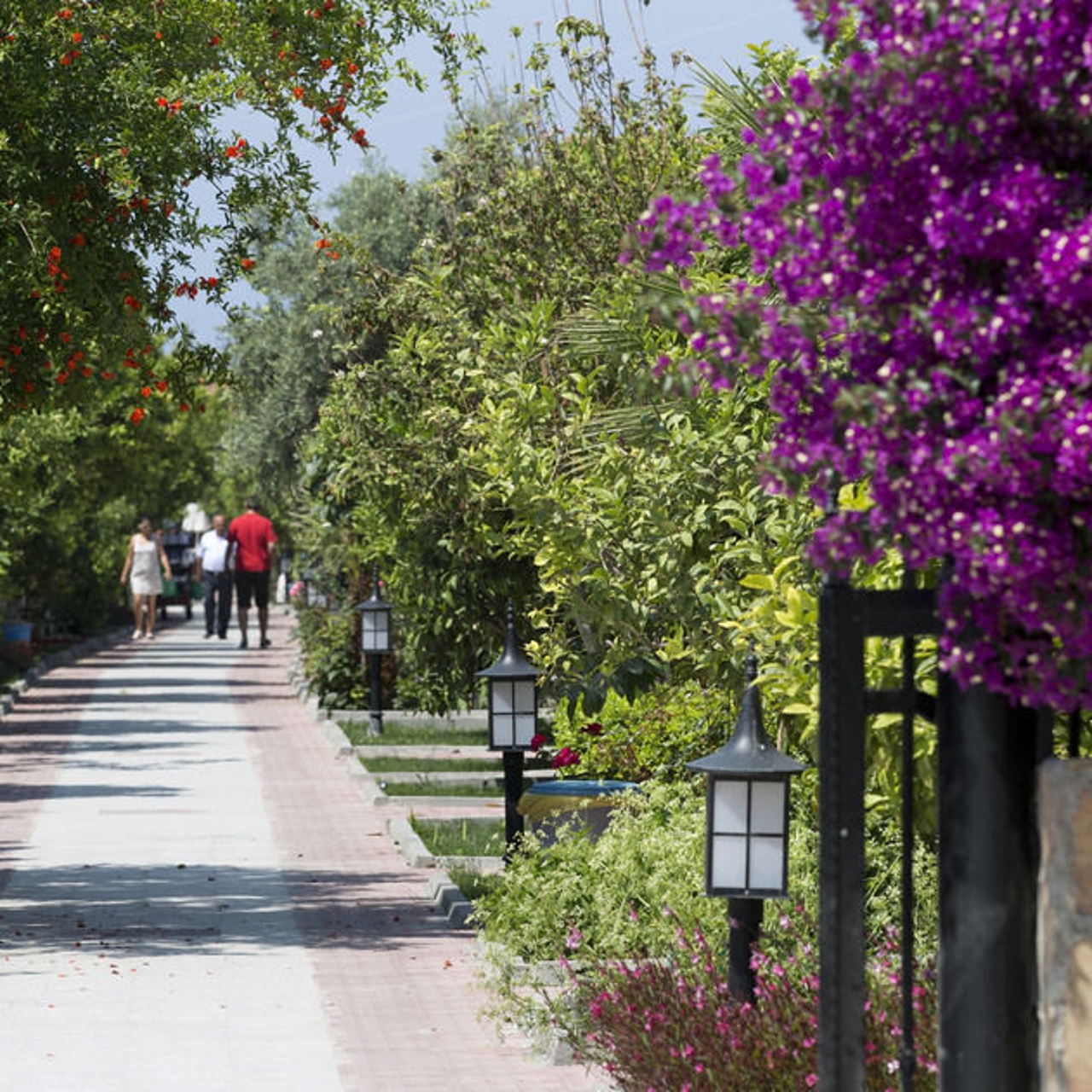 Hotel Ozlem Garden In Manavgat Antalya Ili Hrs