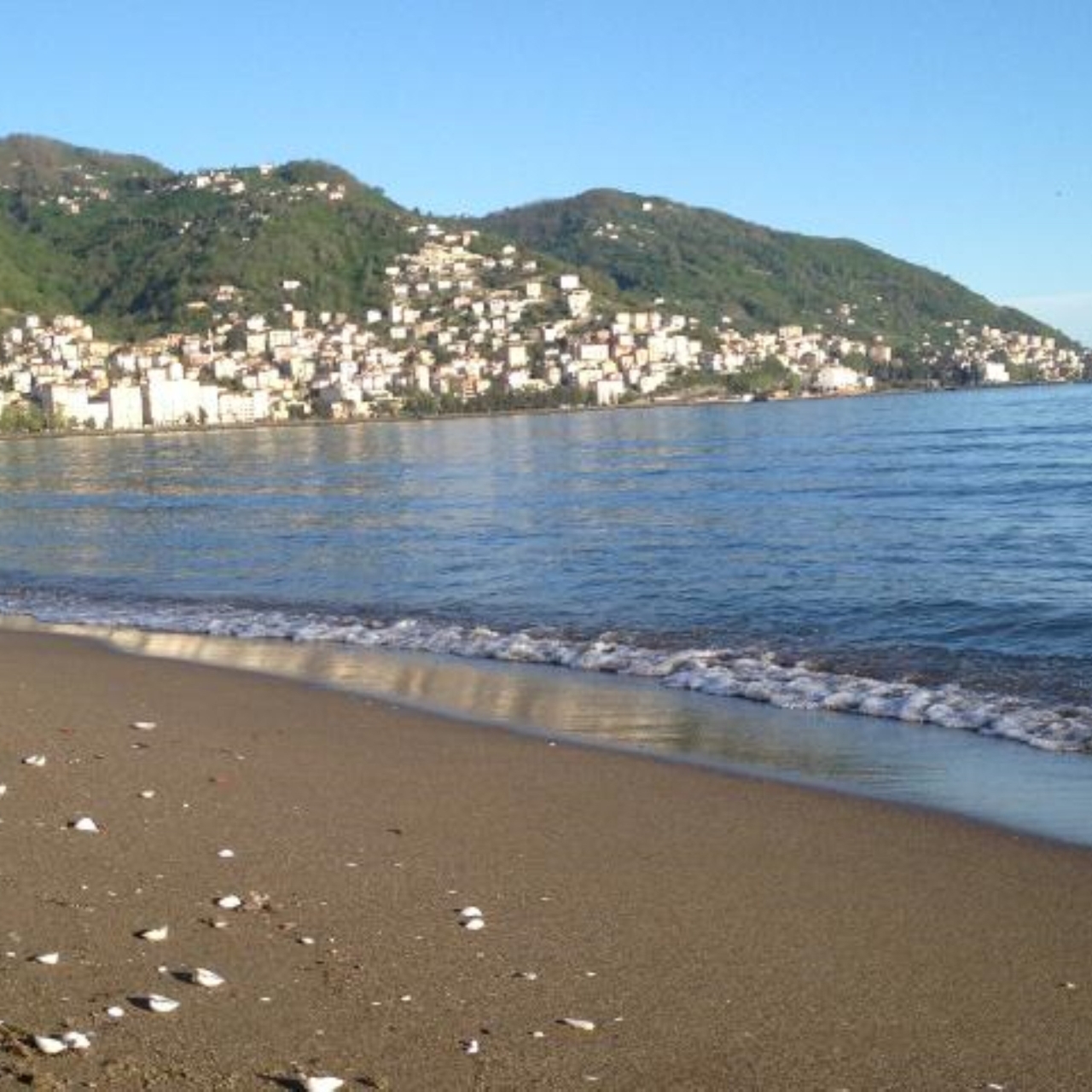 Hotel Anemon Ordu 4 Hrs Star Hotel In Ordu