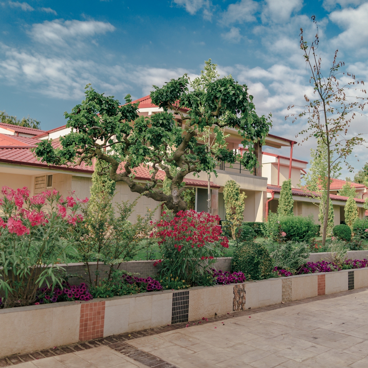 Hotel Vox Maris Grand Resort Romania At Hrs With Free Services