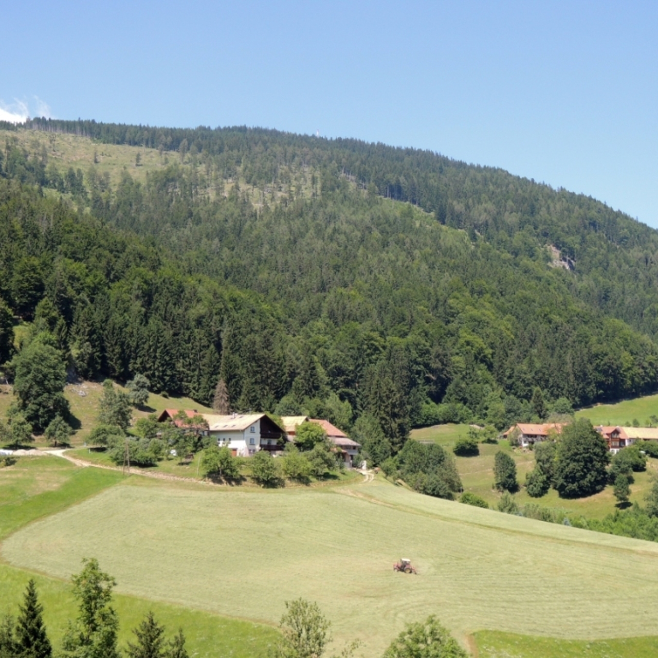 Get Wallpaper Hotel Bauernhof Stoffbauer 3 Hrs Star Hotel In Sankt Radegund For Free