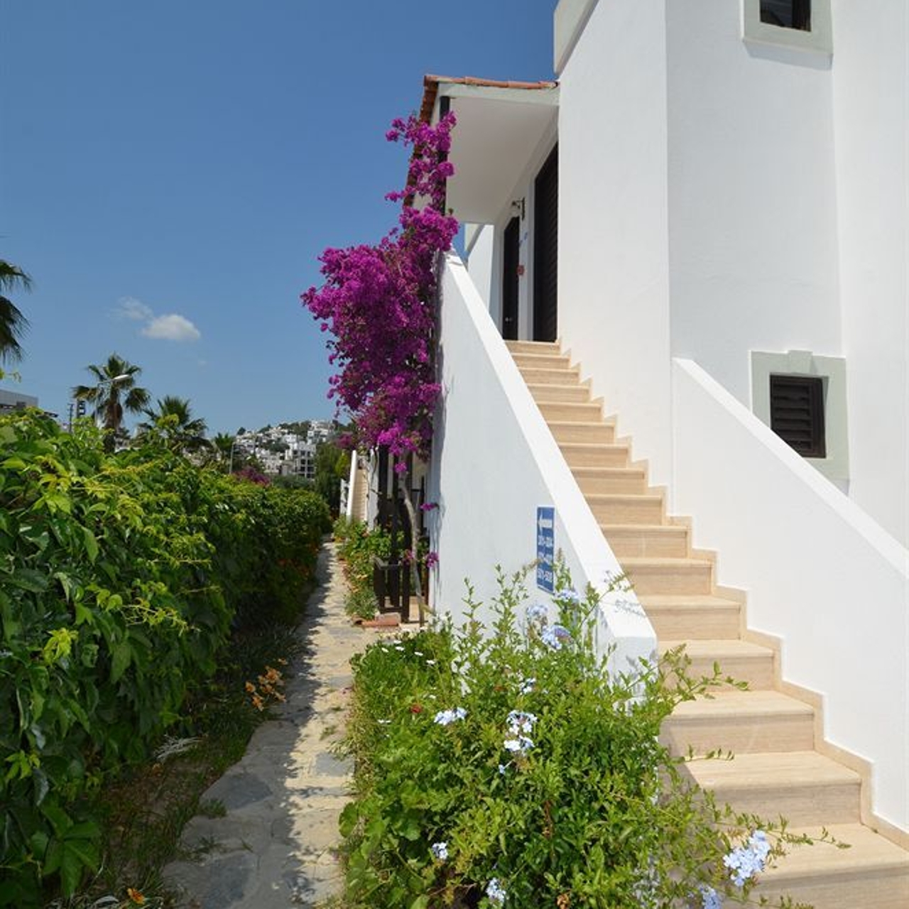 Salinas Hotel Bodrum 3 Hrs Star Hotel In Cirkan Mugla Ili