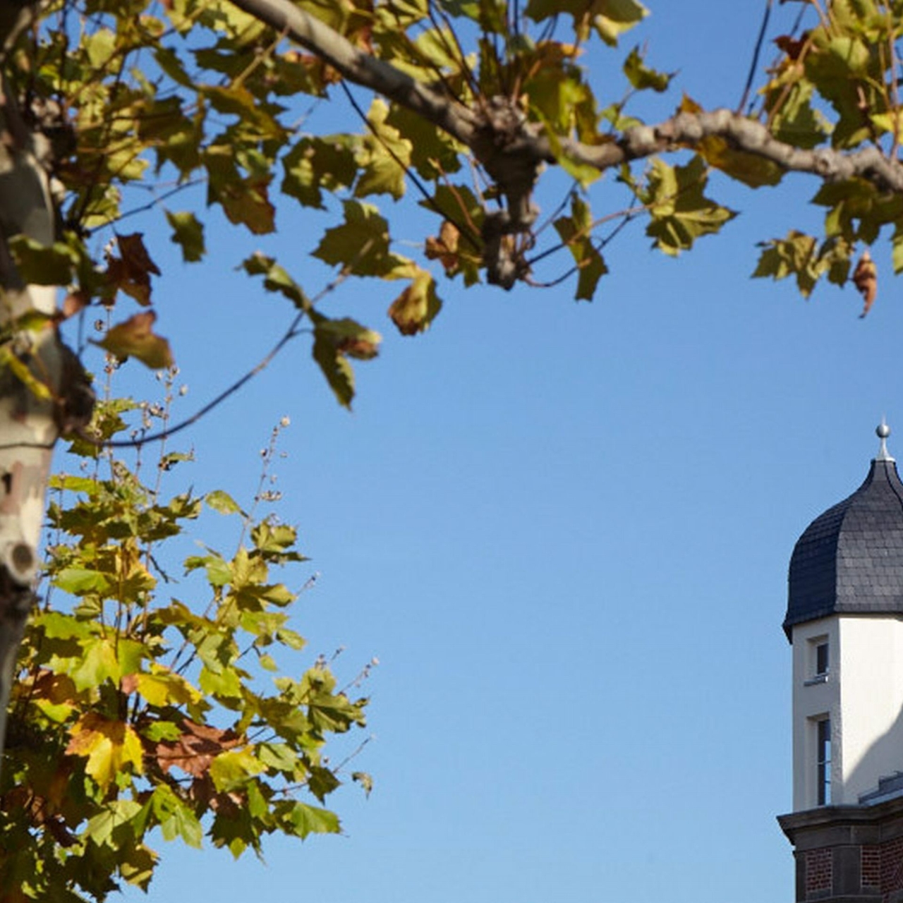 Hotel The Red Apartments 5 Hrs Star Hotel In Dusseldorf North