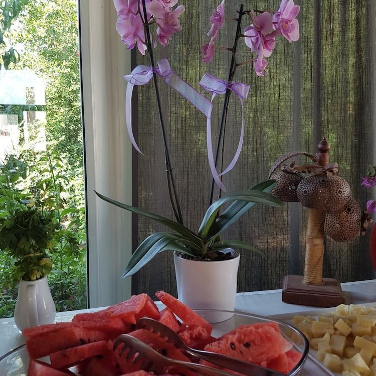 Hotel Costa Bodrum City 3 Hrs Star Hotel In Bodrum Mugla