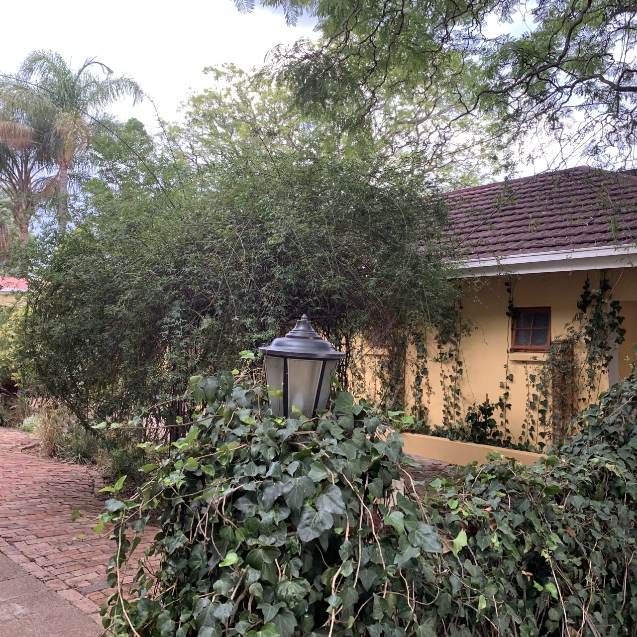 Hotel Casta Diva 4 Hrs Star Hotel In Pretoria Gauteng