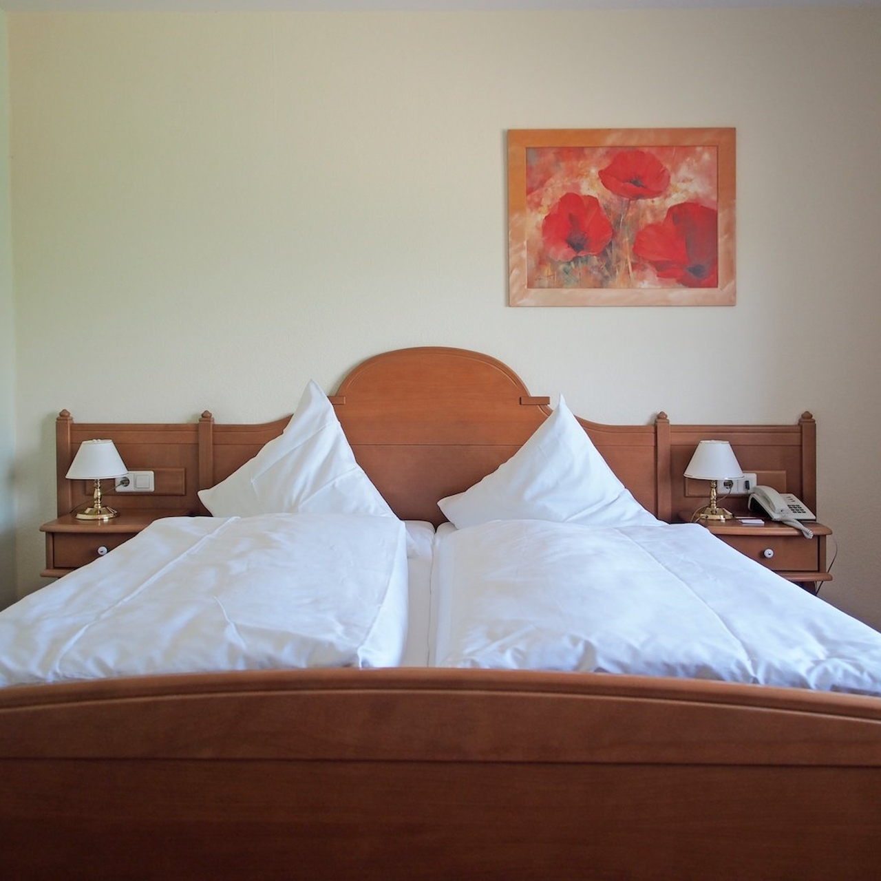 Hotel Haus Am See 4 Hrs Star Hotel In Olbersdorf Saxony