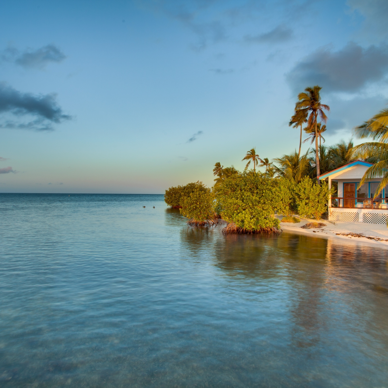 Hotel Hatchet Caye Resort 4 Hrs Star Hotel In Placentia Village Stann Creek District