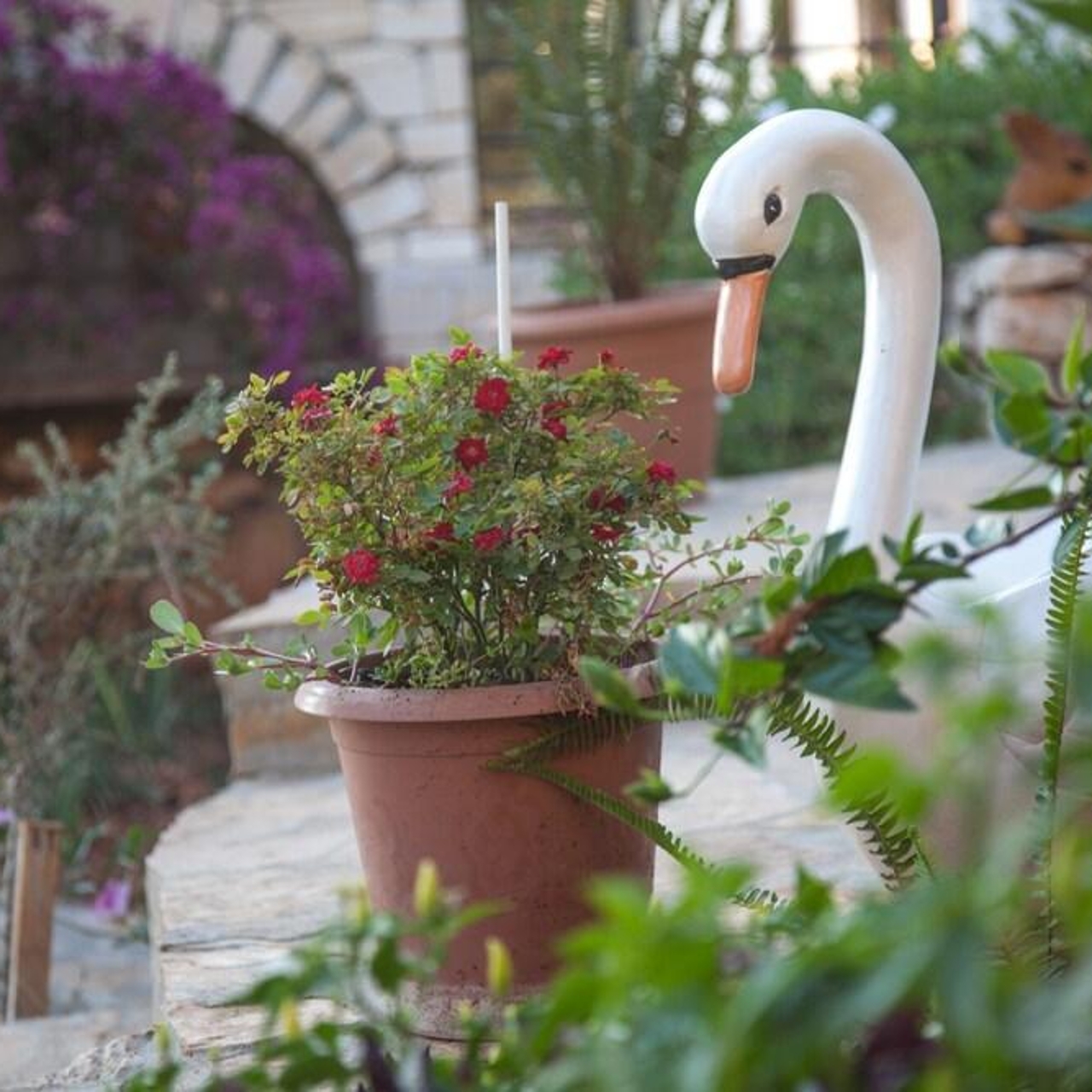 Sunset Villa Hotel 90 1 0 9 Prices Reviews Kas Turkey Tripadvisor