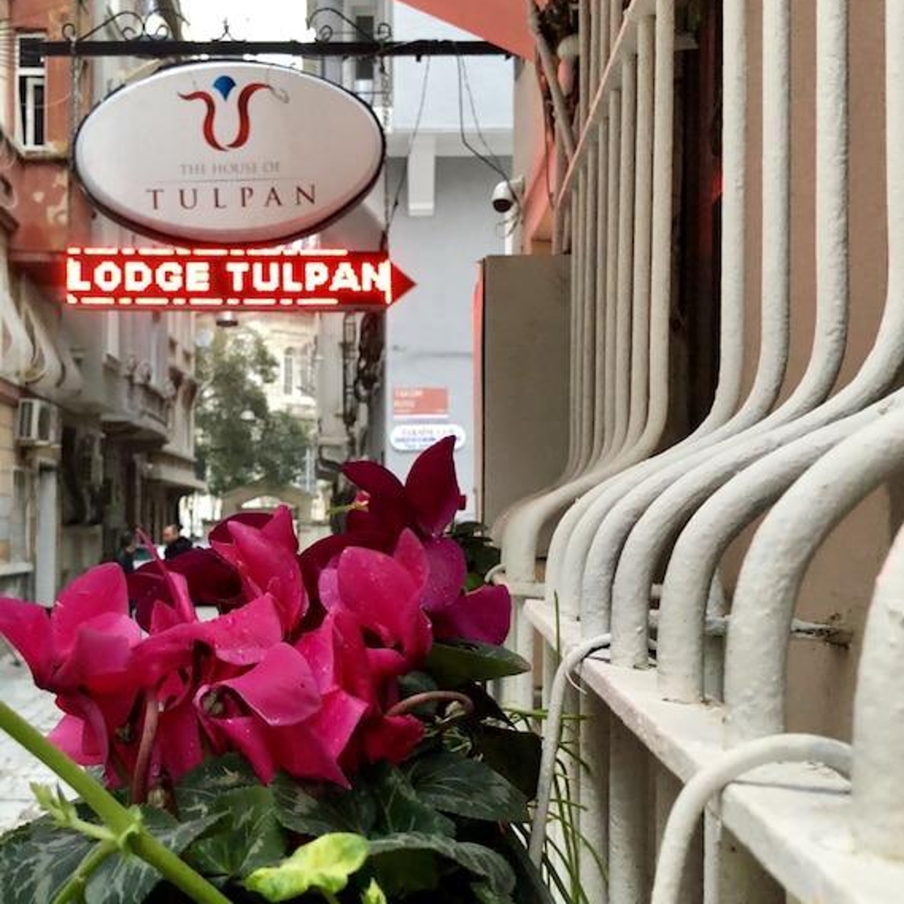 Hotel The House Of Tulpan In Istanbul Istanbul Hrs