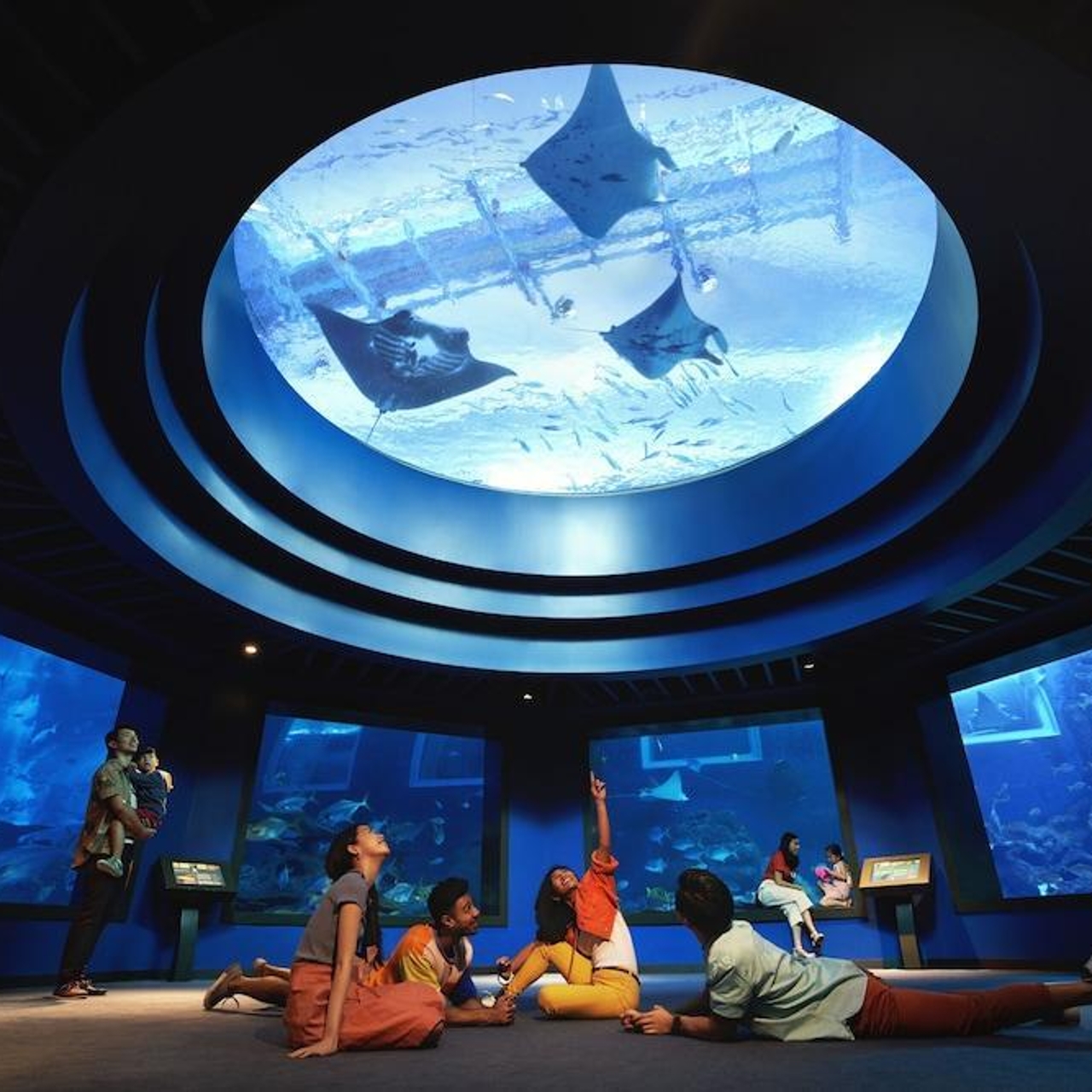 Resorts World Sentosa Equarius Hotel Singapour Chez Hrs Avec Services Gratuits