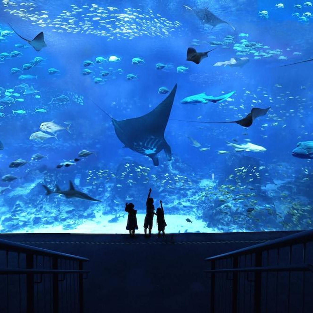 Resorts World Sentosa Equarius Hotel Singapour Chez Hrs Avec Services Gratuits