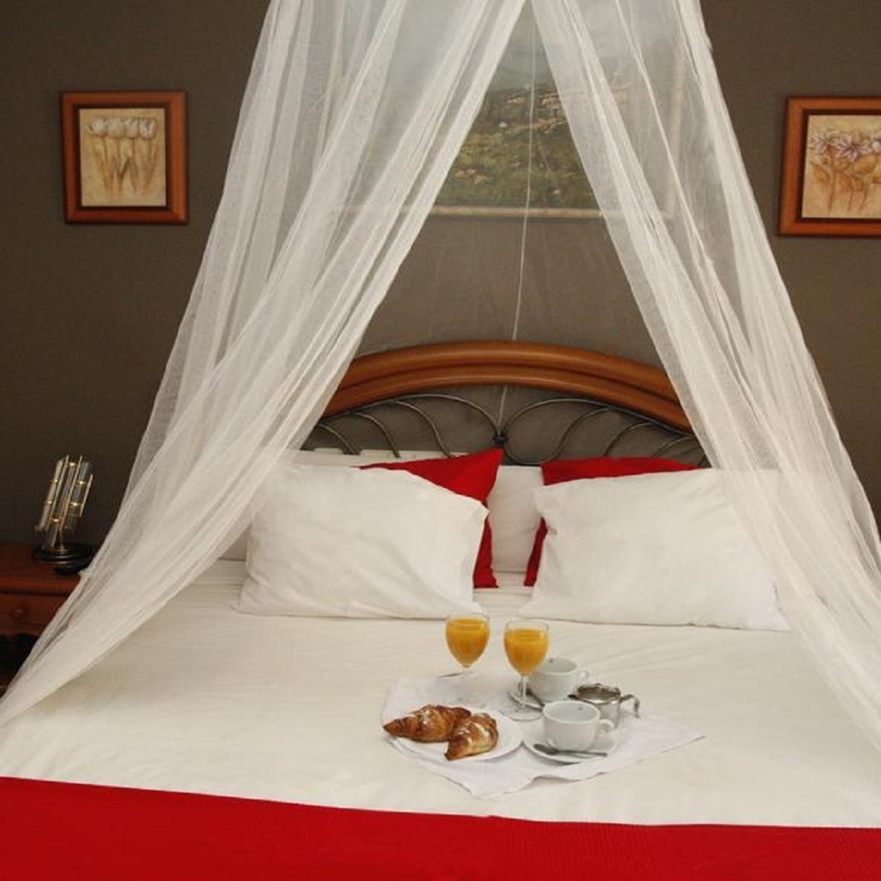 bed net canopy argos