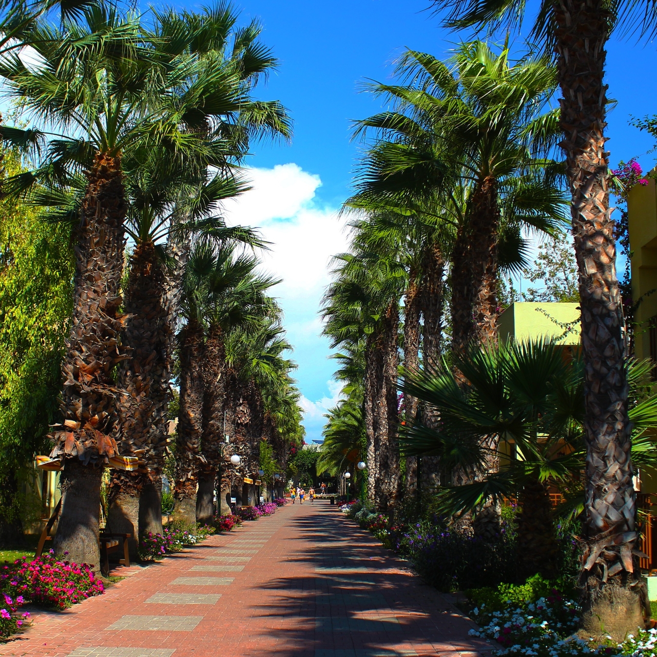 Hotel Vonresort Golden Beach 5 Hrs Star Hotel In Manavgat Antalya Ili