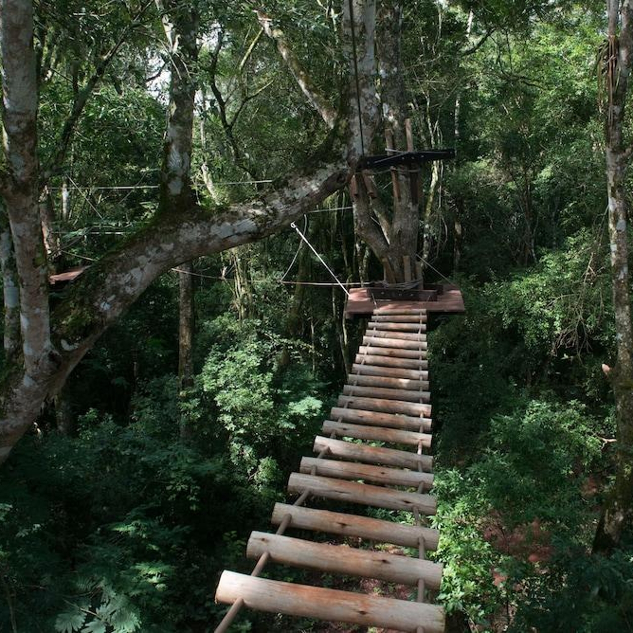 Hotel Wish Foz Do Iguacu By Gjp Brazil At Hrs With Free Services