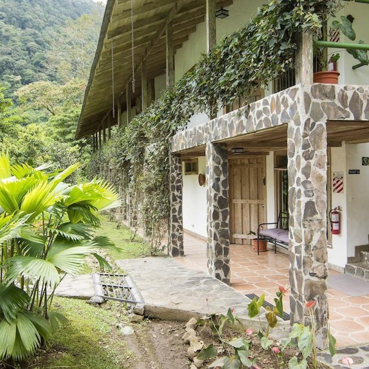 Hotel Bosque De Paz Costa Rica En Hrs Con Servicios Gratuitos
