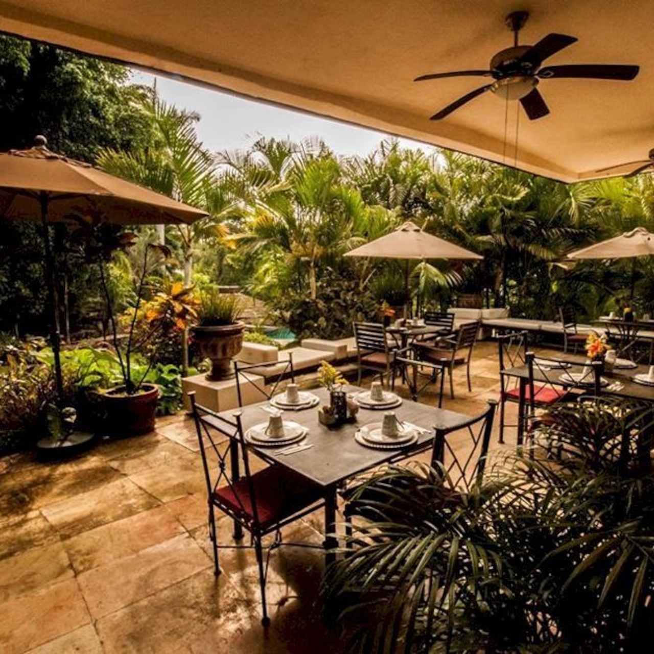 Cuernavaca Morelos Mexico America Central Hrs